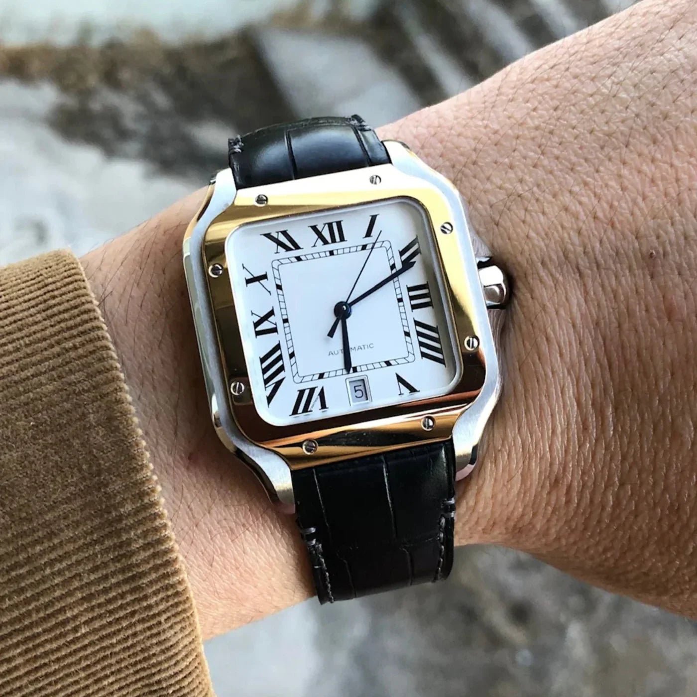 Which Strap Is Best for Your Cartier? Rubber, Leather & Nylon by Model - Helvetus